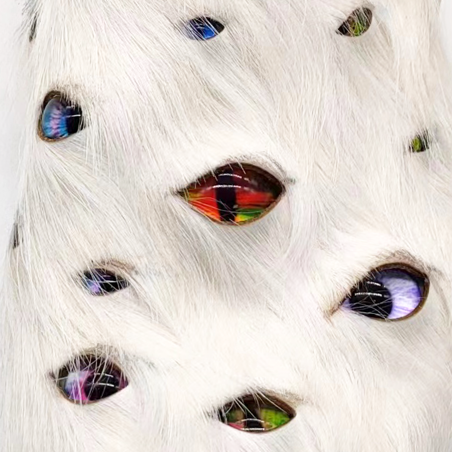 Eyeball Mules - White